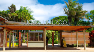 From the plantation to the Honolulu zoo