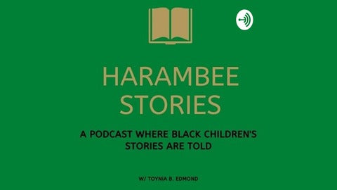 Harambee interviews LSP authors
